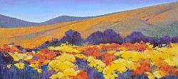 Spring Flowers - Namaqualand | 2025 | Oil on Canvas | 35 x 62 cm